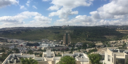 פנטהאוז ייחודי צופה לנוף פנורמי