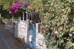ראשי
