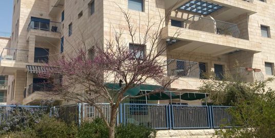 בארנונה הצעירה