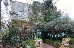 ראשי